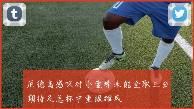 厄德高感叹对小蜜蜂未能全取三分期待足总杯中重振雄风