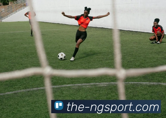 App Interface Preview